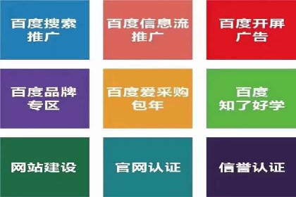 SEM精准广告投放的五大成功案例